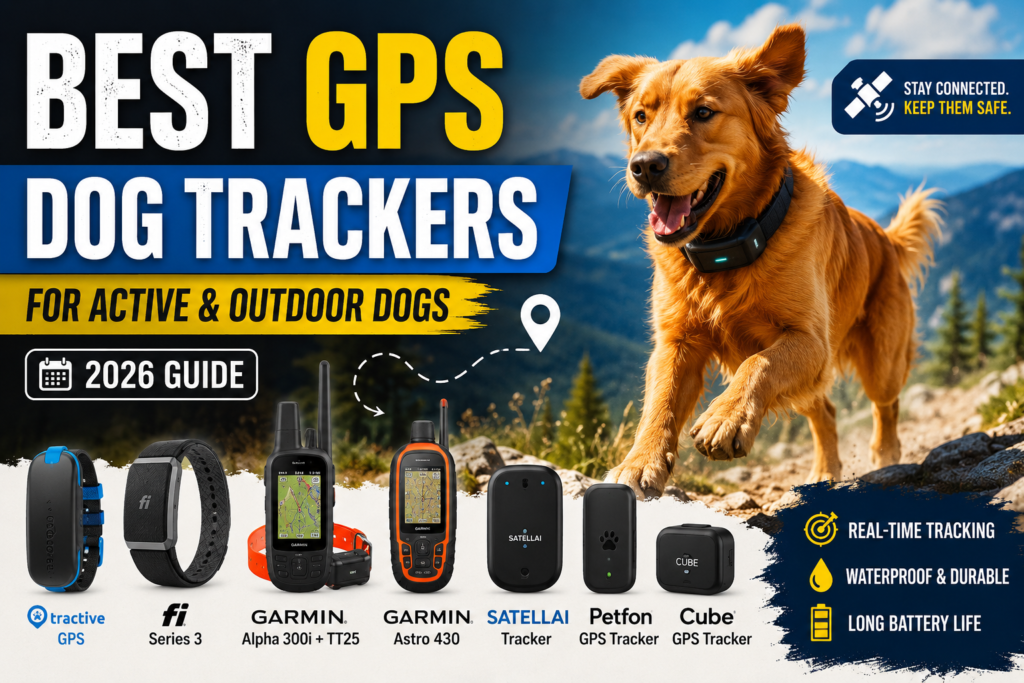 best GPS dog trackers for active and outdoor dogs