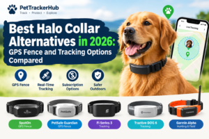 Best Halo Collar Alternatives in 2026: GPS Fence and Tracking Options Compared